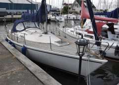 Albin Nova 33