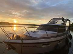 Boarnstream Boarncruiser 365