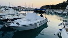 Ranieri Shadow 22