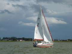 Reinke S11