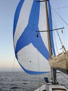 Cantieri Navali d Este Este 39