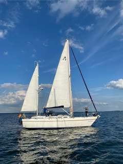 Contest 40 Ketch