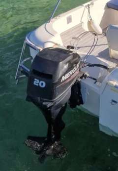 Quicksilver 20 PS Mercury Motor Sportboot