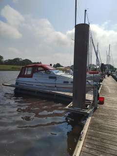 Sealine 255 Corall