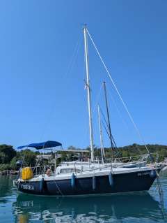 Rydgeway Pegasus 700