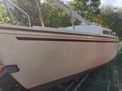 Jaguar 22