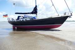 Koopmans 40