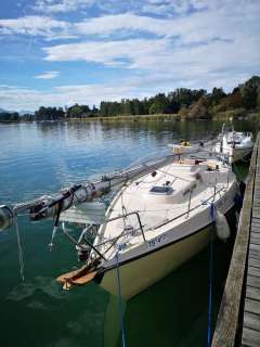 Deerberg Beryll 31