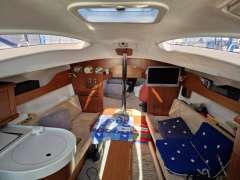 Delphia 28 sport