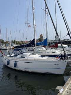 Arion 29