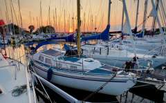 de Kloet Fellowship 28