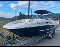 Sea Ray 260