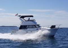 Bayliner 3288 Fly