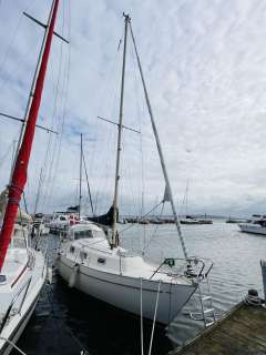 Hallberg-Rassy Monsun 31