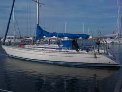 Luffe 46