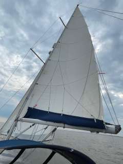 Dufour 36 Classic