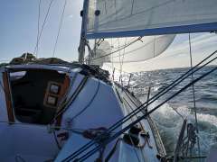 Mallard Écume de Mer