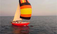 Mallard Écume de Mer