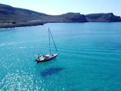 Mallard Écume de Mer