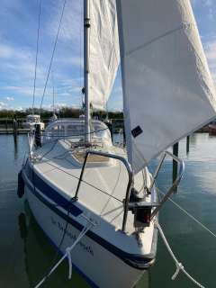 Pelle Peterson Maxi 68