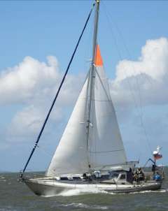 Koopmans 36
