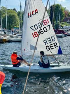 Laser Radial ILCA