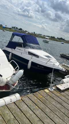 Drago 550