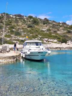 Marex Sun Cruiser 290