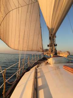 Trewes 1A / Gebröder van Tol -Werft