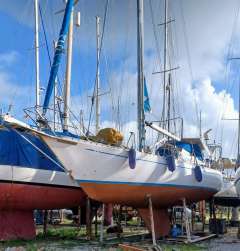 Sloop   Gecco