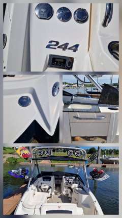 Chaparral Sunesta 244