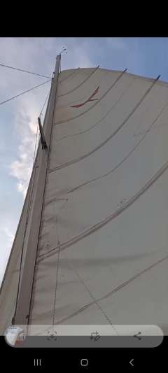 Quorning Dragonfly 800