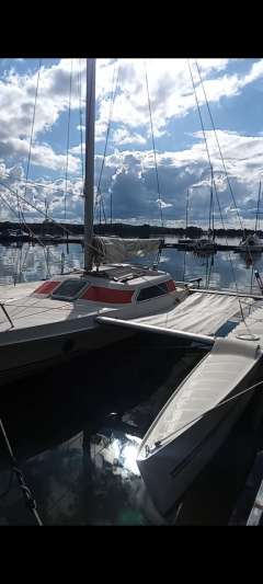 Quorning Dragonfly 800