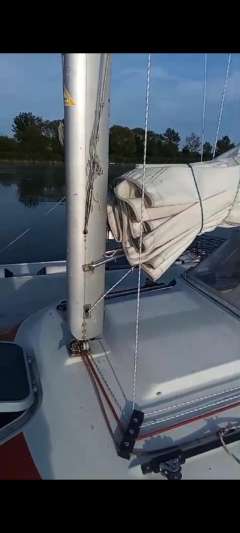 Quorning Dragonfly 800