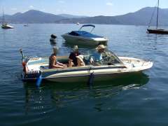 Glastron Bayflite V174