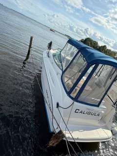 Bayliner 245 SB