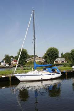 Wibo van Wijk wibo 930