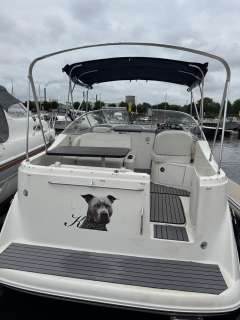 Bayliner 265SB