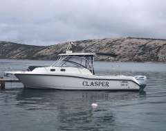 Boston Whaler 305 Conquest