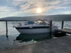 Bavaria Sport 35