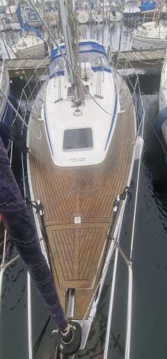 Bavaria 31