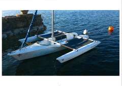 Virus Magnum 21 Trimarano
