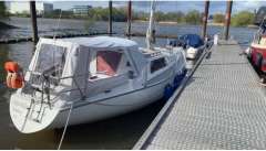 Scampi 30 von Peter Norlin gezeichnet