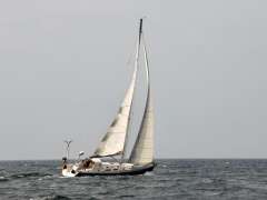 Hanse 411