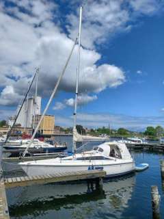 Maxi Fenix 28