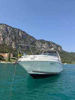 Sea Ray Sundancer 315
