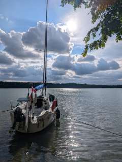 Sasanka VIVA 700