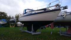Lindinger Compass 31