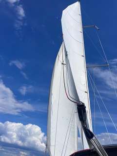 Forgus 31