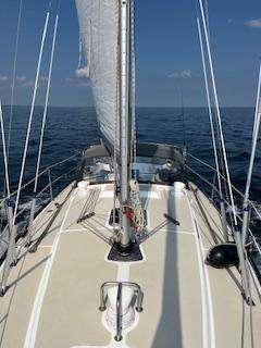 FORGUS 31, BauNr 153, LarsHedberg Design